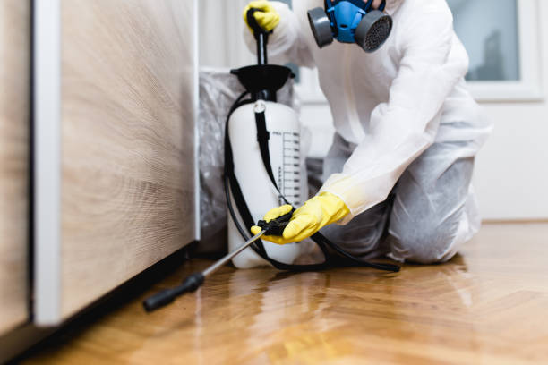 Best Flea Control Services  in Ocean Springs, MS
