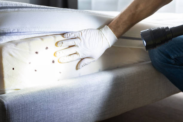 Best Commercial Pest Control Services  in Ocean Springs, MS